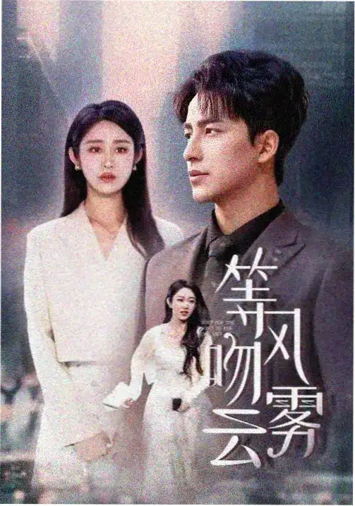 剧集：继承之战